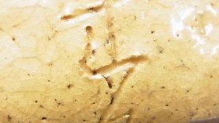 cb036db87c859591b1a56f1a33936637