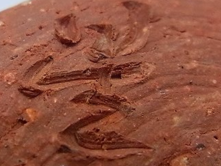 陶芸作家星正幸の陶印画像