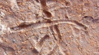 d7d510c2c9748afd7ff02f09b224386b