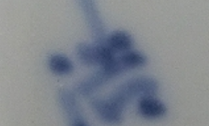 dd741e9234115a365780d2816a1ef836 1