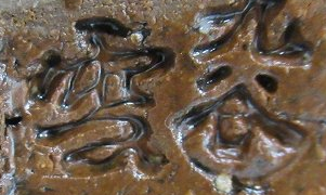 fcacfea0b9235f7c3f293bfd248ad8ed 1