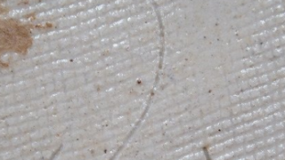 42e0bad0b553a619f8d458e2114ba4f8