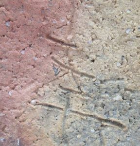 陶芸作家直木美佐の陶印画像