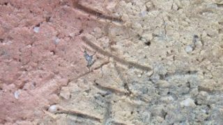 de8eb8e5c0fe60f1fd9d457c46e19874