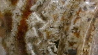 8986cc733f7ec92e4907bb6b0d7043dd 1