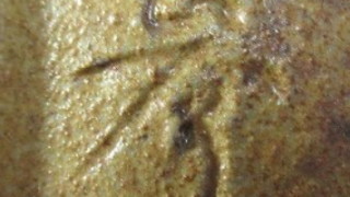 cf1d27aab461fb89da4e41ef5aa0b175 1